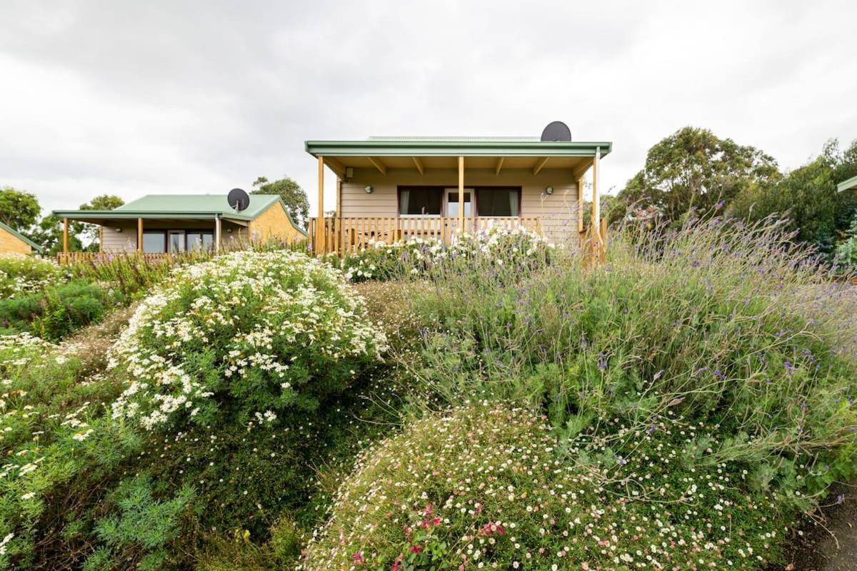 Daysy Hill Country Cottages Port Campbell Exterior photo